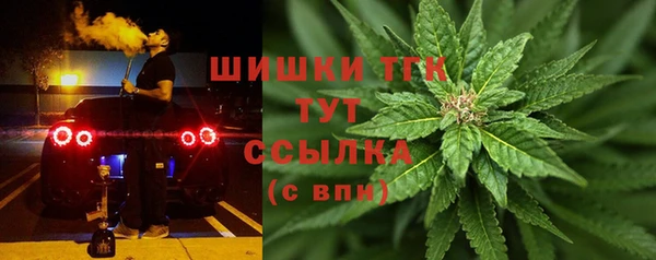 гашик Аркадак