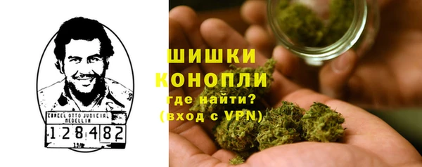 гашик Аркадак