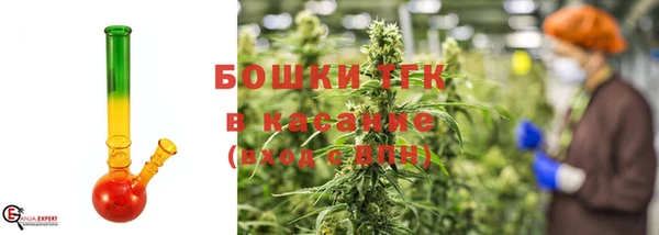 гашик Аркадак