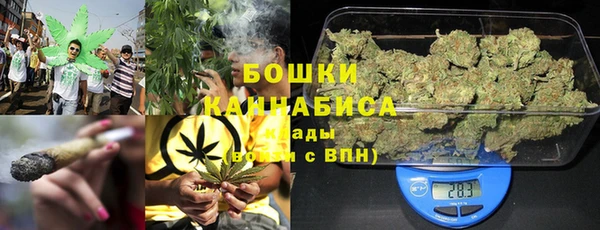гашик Аркадак