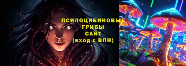 гашик Аркадак